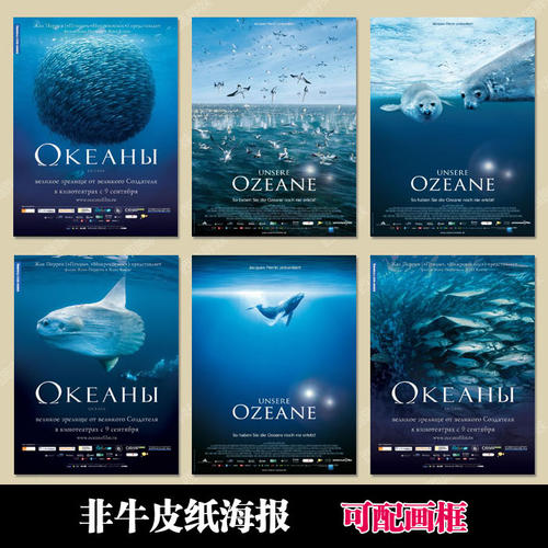 哪里可以制作美国华盛顿州驾照